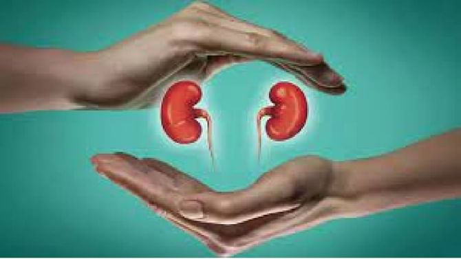 Kidney Problem: ದೇಹದಲ್ಲಿ ಈ ಬದಲಾವಣೆಗಳು ಕಾಣಿಸುತ್ತಿವೆಯಾ?ಎಚ್ಚರದಿಂದಿರಿ, ಕಿಡ್ನಿ ಸಮಸ್ಯೆ ಇರಬಹುದು Kidney Problem: ದೇಹದಲ್ಲಿ ಈ ಬದಲಾವಣೆಗಳು ಕಾಣಿಸುತ್ತಿವೆಯಾ?ಎಚ್ಚರದಿಂದಿರಿ, ಕಿಡ್ನಿ ಸಮಸ್ಯೆ ಇರಬಹುದು