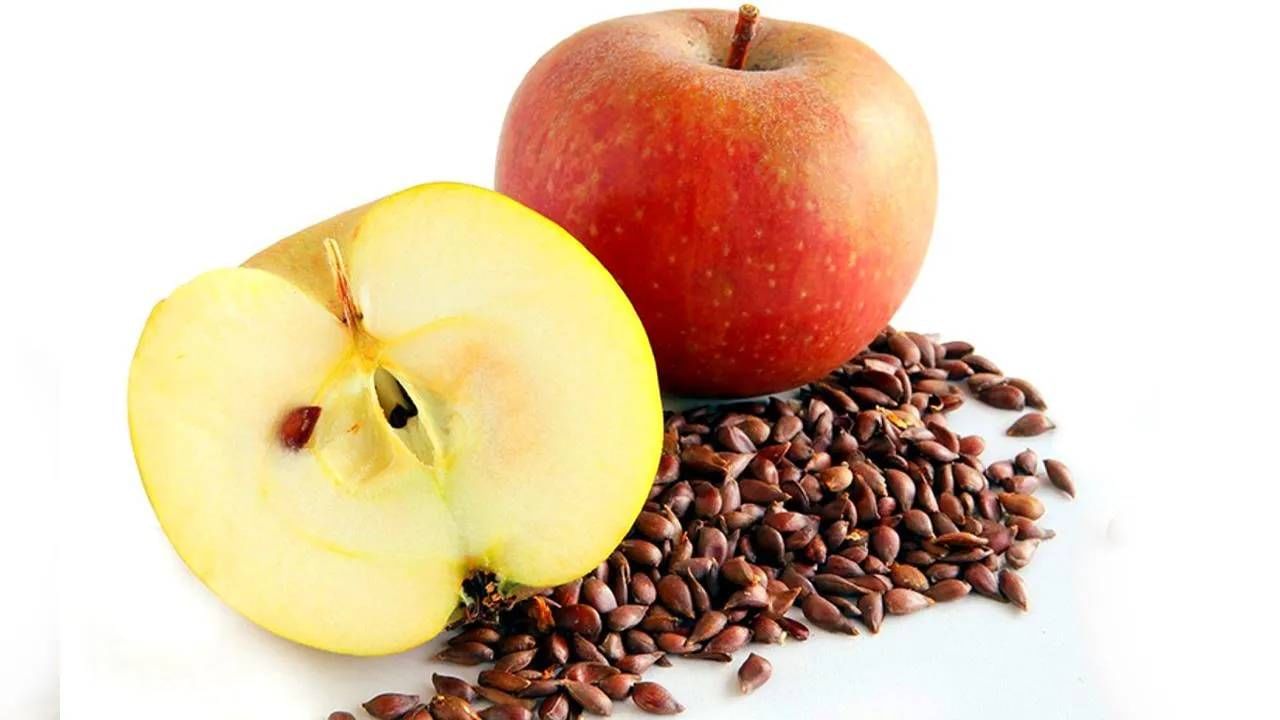 Apple Seeds: ಅಪ್ಪಿತಪ್ಪಿಯೂ ಸೇಬು ಹಣ್ಣಿನ ಜತೆ ಬೀಜಗಳನ್ನು ತಿನ್ನಬೇಡಿ, ಏನೆಲ್ಲಾ ಸಮಸ್ಯೆಗಳು ಕಾಡಬಹುದು ಇಲ್ಲಿದೆ ಮಾಹಿತಿ