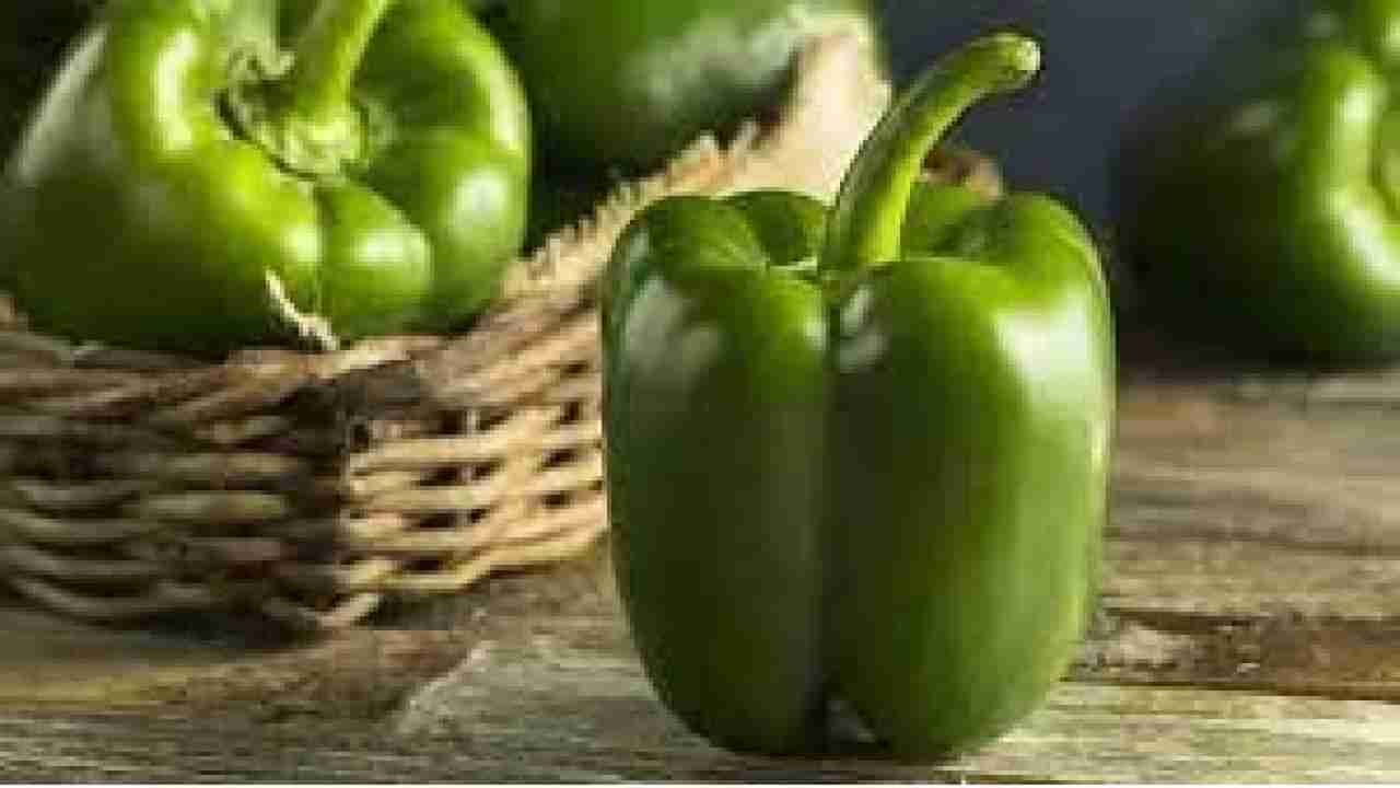 Capsicum Benefits: ಡೊಳ್ಳುಮೆಣಸು ತಿನ್ನುವುದರಿಂದಾಗುವ ಆರೋಗ್ಯ ಪ್ರಯೋಜನಗಳೇನು? ಇಲ್ಲಿದೆ ಮಾಹಿತಿ