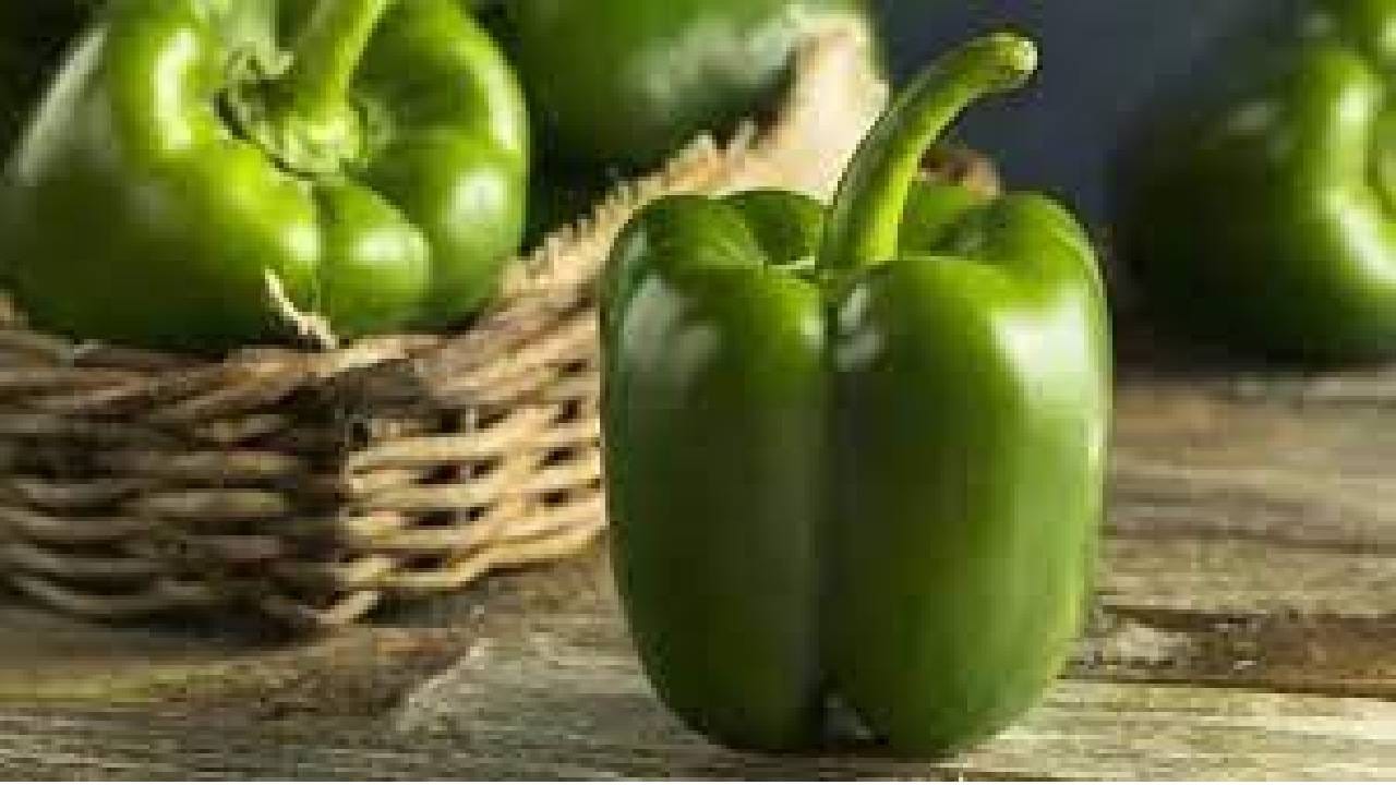 Capsicum Benefits: ಡೊಳ್ಳುಮೆಣಸು ತಿನ್ನುವುದರಿಂದಾಗುವ ಆರೋಗ್ಯ ಪ್ರಯೋಜನಗಳೇನು? ಇಲ್ಲಿದೆ ಮಾಹಿತಿ Capsicum Benefits: ಡೊಳ್ಳುಮೆಣಸು ತಿನ್ನುವುದರಿಂದಾಗುವ ಆರೋಗ್ಯ ಪ್ರಯೋಜನಗಳೇನು? ಇಲ್ಲಿದೆ ಮಾಹಿತಿ