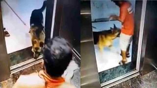 Viral Video: ಚಪ್ಪಲಿ ಕೈಗೆತ್ತಿಕೊಂಡು ರಪರಪ ಅಂತ ಹೊಡೆದಾಡಿಕೊಂಡರು