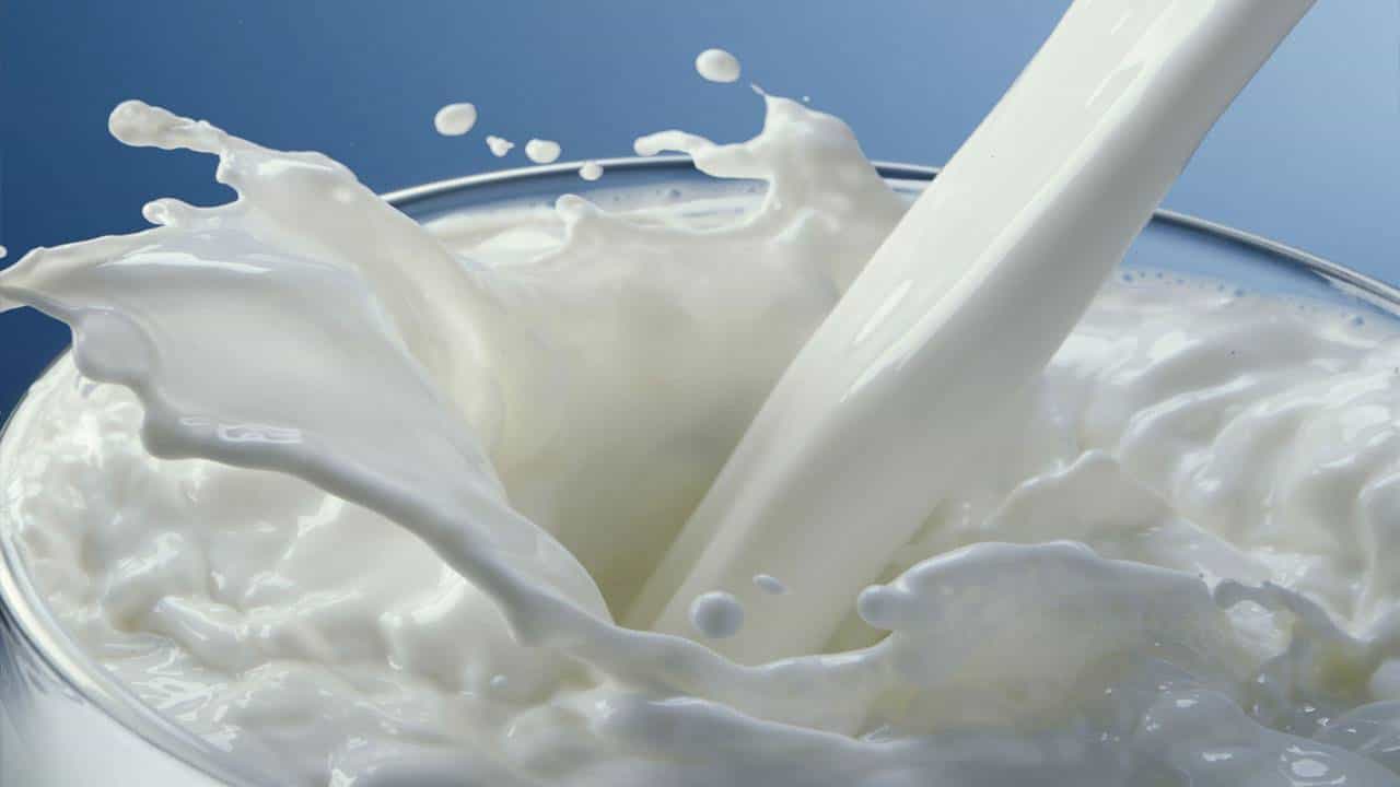Milk: ಹಾಲು ಕುಡಿಯುವುದು ಆರೋಗ್ಯಕ್ಕೆ ಒಳ್ಳೆಯದೋ, ಕೆಟ್ಟದ್ದೋ? ಆಯುರ್ವೇದ ಏನು ಹೇಳುತ್ತೆ? Milk: ಹಾಲು ಕುಡಿಯುವುದು ಆರೋಗ್ಯಕ್ಕೆ ಒಳ್ಳೆಯದೋ, ಕೆಟ್ಟದ್ದೋ? ಆಯುರ್ವೇದ ಏನು ಹೇಳುತ್ತೆ?