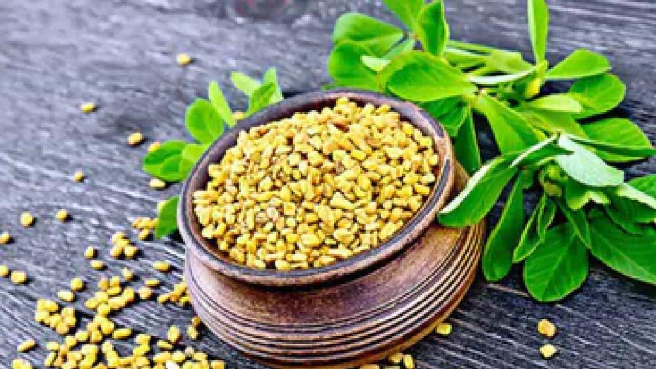 Fenugreek: ಮೆಂತ್ಯೆಯು ಈ ಸಮಸ್ಯೆಗಳಿಗೆ ದಿವ್ಯೌಷಧ, ಪ್ರಯೋಜನಗಳ ಬಗ್ಗೆ ತಿಳಿಯಿರಿ Fenugreek: ಮೆಂತ್ಯೆಯು ಈ ಸಮಸ್ಯೆಗಳಿಗೆ ದಿವ್ಯೌಷಧ, ಪ್ರಯೋಜನಗಳ ಬಗ್ಗೆ ತಿಳಿಯಿರಿ