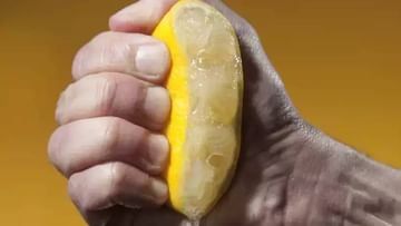 Lemon Squeeze: ಬಿಸಿ ಆಹಾರ ಪದಾರ್ಥಗಳ ಮೇಲೆ ನಿಂಬೆಹಣ್ಣನ್ನು ಹಿಂಡಬಾರದು ಏಕೆ?