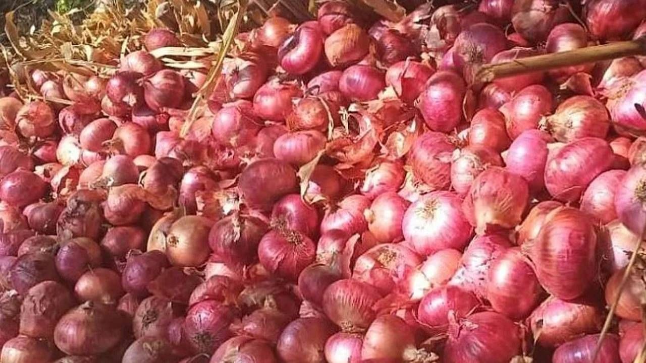 Onion Side Effects: ಅತಿಯಾಗಿ ಈರುಳ್ಳಿ ತಿನ್ನುವುದರಿಂದ ಈ ಆರೋಗ್ಯ ಸಮಸ್ಯೆಗಳು ನಿಮ್ಮನ್ನು ಕಾಡಬಹುದು