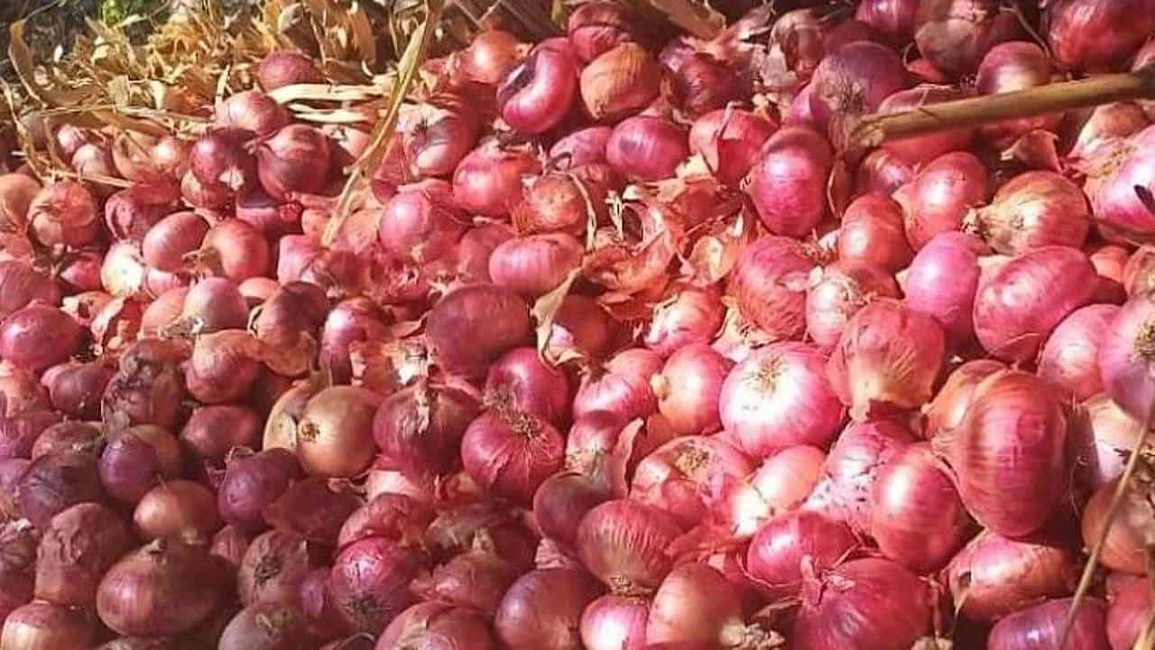 Onion Side Effects: ಅತಿಯಾಗಿ ಈರುಳ್ಳಿ ತಿನ್ನುವುದರಿಂದ ಈ ಆರೋಗ್ಯ ಸಮಸ್ಯೆಗಳು ನಿಮ್ಮನ್ನು ಕಾಡಬಹುದು Onion Side Effects: ಅತಿಯಾಗಿ ಈರುಳ್ಳಿ ತಿನ್ನುವುದರಿಂದ ಈ ಆರೋಗ್ಯ ಸಮಸ್ಯೆಗಳು ನಿಮ್ಮನ್ನು ಕಾಡಬಹುದು