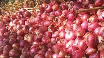 Onion Side Effects: ಅತಿಯಾಗಿ ಈರುಳ್ಳಿ ತಿನ್ನುವುದರಿಂದ ಈ ಆರೋಗ್ಯ ಸಮಸ್ಯೆಗಳು ನಿಮ್ಮನ್ನು ಕಾಡಬಹುದು