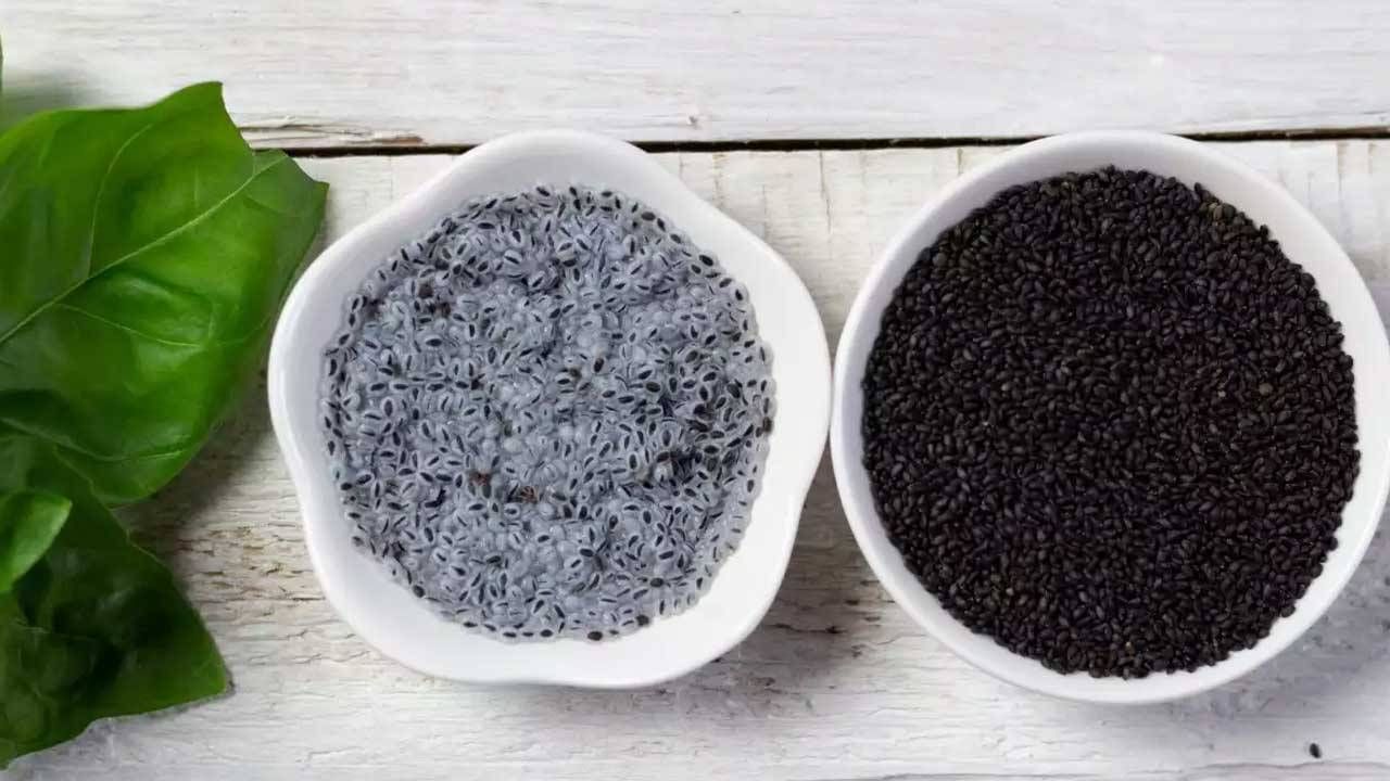 Basil Seeds