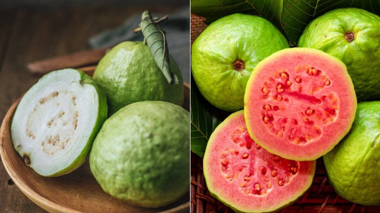 Guava Benefits: ಗುಲಾಬಿ ಮತ್ತು ಬಿಳಿ ಪೇರಳೆಯಲ್ಲಿ ಯಾವುದು ಹೆಚ್ಚು ಪ್ರಯೋಜನಕಾರಿ?