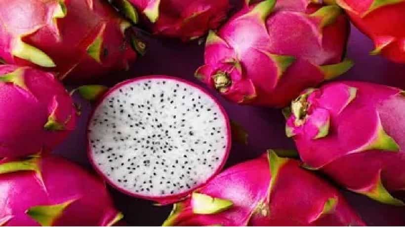 Dragon Fruit Benefits: ನಿತ್ಯ ಡ್ರ್ಯಾಗನ್ಫ್ರೂಟ್ ತಿನ್ನಿ, ಹಲವು ರೋಗಗಳನ್ನು ದೂರವಿಡಿ