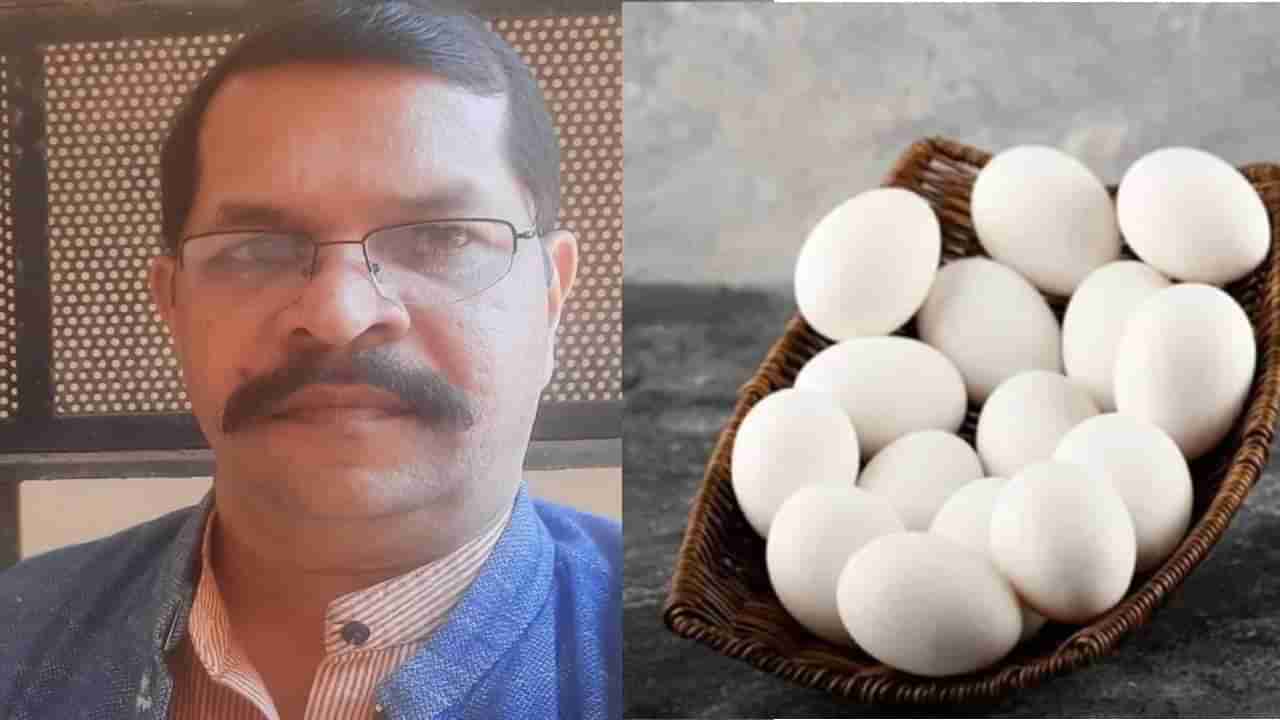 Egg:ಮೊಟ್ಟೆಯ ಪೆಟ್ಟಿಗೆಗಳ ಮೇಲಿನ ಬರಹದ ಅರ್ಥವೇನು?