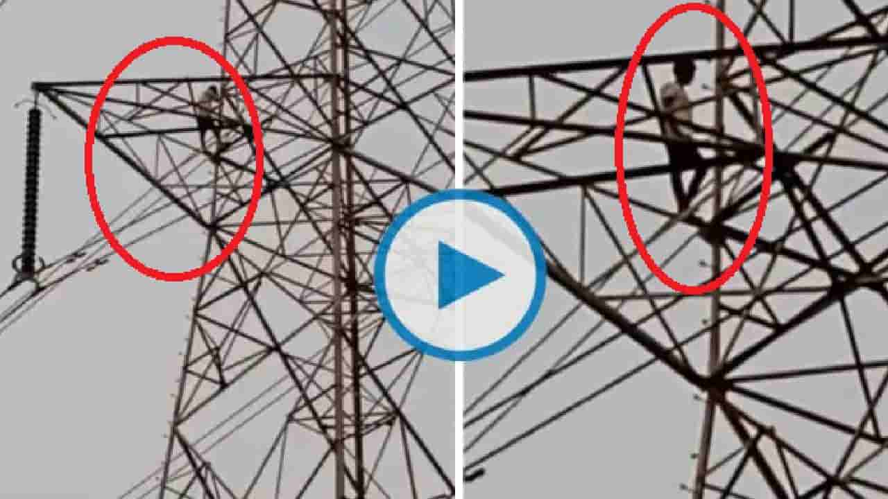 Viral Video: ತವರಿನಿಂದ ಬರದ ಪತ್ನಿ, ಹೈ ಟೆನ್ಷನ್ ಟವರ್ ಏರಿದ ಪತಿ