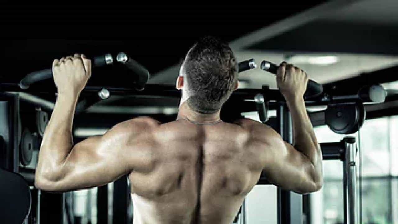 Gym: ಹೊಸದಾಗಿ ಜಿಮ್ಗೆ ಜಾಯಿನ್ ಆಗಿದ್ದೀರಾ? ಈ ವಿಷಯಗಳ ಕುರಿತು ಎಚ್ಚರಿಕೆ ಇರಲಿ Gym: ಹೊಸದಾಗಿ ಜಿಮ್ಗೆ ಜಾಯಿನ್ ಆಗಿದ್ದೀರಾ? ಈ ವಿಷಯಗಳ ಕುರಿತು ಎಚ್ಚರಿಕೆ ಇರಲಿ