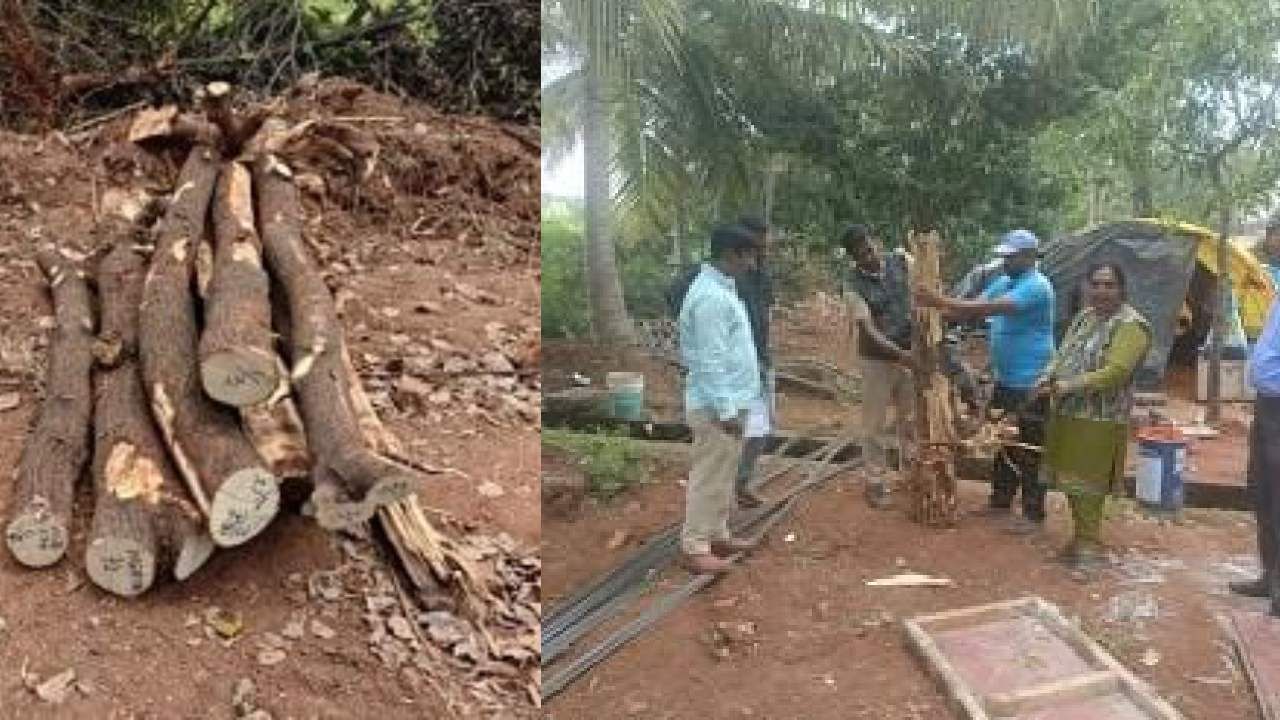 Crime News: ರಸ್ತೆ ಕಾಮಗಾರಿ ವೇಳೆ ಶ್ರೀಗಂಧ ಮರಗಳ ಹನನ; ಗುತ್ತಿಗೆದಾರನ ವಿರುದ್ಧ ದೂರು ದಾಖಲು Crime News: ರಸ್ತೆ ಕಾಮಗಾರಿ ವೇಳೆ ಶ್ರೀಗಂಧ ಮರಗಳ ಹನನ; ಗುತ್ತಿಗೆದಾರನ ವಿರುದ್ಧ ದೂರು ದಾಖಲು