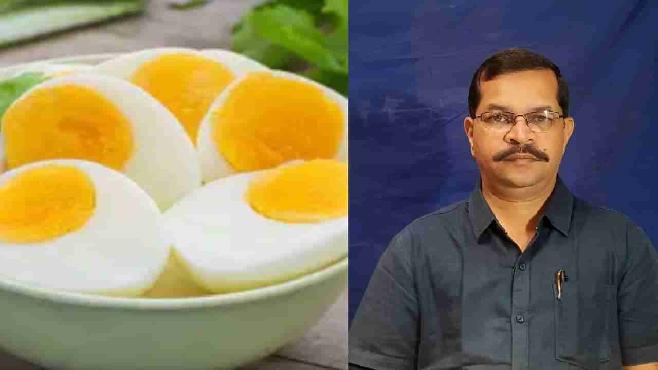 Egg: ಮೊಟ್ಟೆಗಳ ಸಂಗ್ರಹಣೆ ಮತ್ತು ಆಹಾರ ನಿರ್ವಹಣೆ ಸಲಹೆಗಳು ಇಲ್ಲಿವೆ