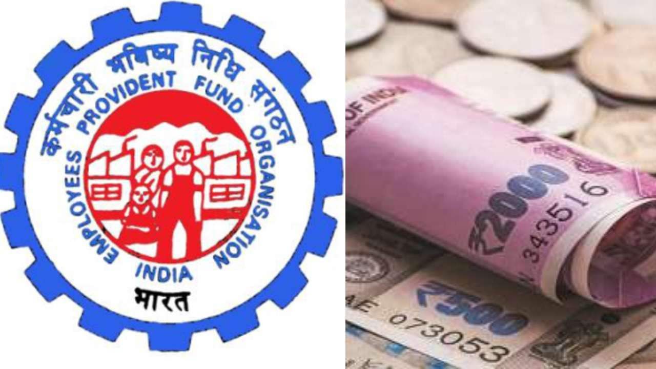 EPF E-Nomination: ಆನ್ಲೈನ್ ಮೂಲಕ ಇಪಿಎಫ್ ಇ-ನಾಮನಿರ್ದೇಶನ ಮಾಡುವ ಹಂತಗಳು ಮತ್ತು ಇದರ ಪ್ರಯೋಜನಗಳು EPF E-Nomination: ಆನ್ಲೈನ್ ಮೂಲಕ ಇಪಿಎಫ್ ಇ-ನಾಮನಿರ್ದೇಶನ ಮಾಡುವ ಹಂತಗಳು ಮತ್ತು ಇದರ ಪ್ರಯೋಜನಗಳು