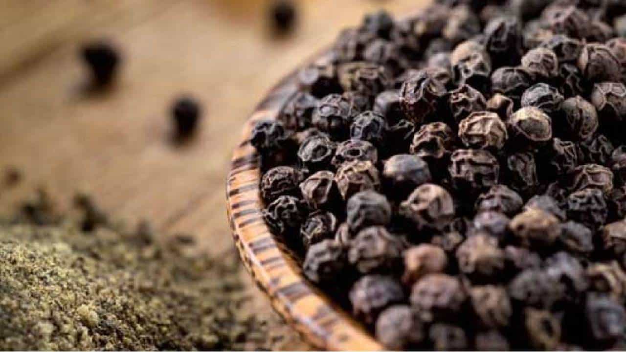Black Pepper Benefits: ಕರಿಮೆಣಸು ಕೇವಲ ಮಸಾಲೆ ಪದಾರ್ಥವಲ್ಲ, ಅದ್ಭುತ ಪ್ರಯೋಜನಗಳ ಬಗ್ಗೆ ತಿಳಿಯಿರಿ Black Pepper Benefits: ಕರಿಮೆಣಸು ಕೇವಲ ಮಸಾಲೆ ಪದಾರ್ಥವಲ್ಲ, ಅದ್ಭುತ ಪ್ರಯೋಜನಗಳ ಬಗ್ಗೆ ತಿಳಿಯಿರಿ
