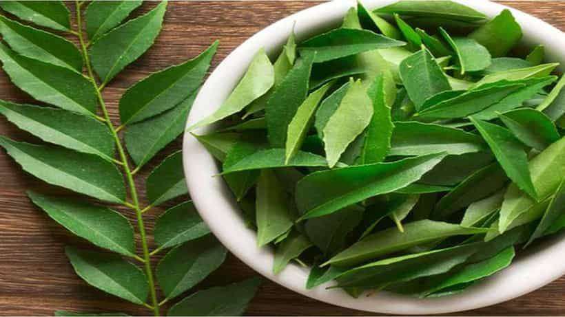 Curry Leaves Benefits: ಮಧುಮೇಹದಿಂದ ರಕ್ತದೊತ್ತಡ ನಿವಾರಣೆವರೆಗೆ ಕರಿಬೇವಿನ ಅದ್ಭುತ ಪ್ರಯೋಜನಗಳು ಇಲ್ಲಿವೆ