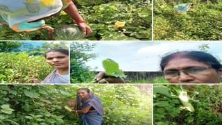 ಎನ್‌ಡಿಟಿವಿ ಮಹಿಳಾ ಪತ್ರಕರ್ತೆಯನ್ನು ಪದೇ ಪದೇ ಅವಮಾನಿಸಿದ ಕಾಂಗ್ರೆಸ್ ನಾಯಕ ರಾಹುಲ್ ಗಾಂಧಿ