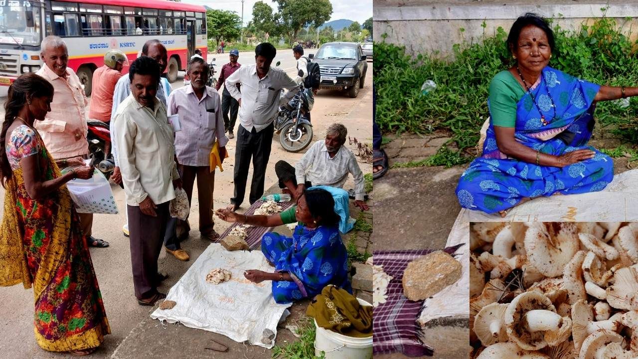 Chikkaballapur: ನಾಟಿ ಅಣಬೆಗೆ ಡಿಮ್ಯಾಂಡಪ್ಪೋ ಡಿಮ್ಯಾಂಡ್! ಹೈಬ್ರೀಡ್ ಯಾರಿಗೂ ಬೇಡ, ನಾಟಿಗೇ ಮಣೆ ಈಗ! Chikkaballapur: ನಾಟಿ ಅಣಬೆಗೆ ಡಿಮ್ಯಾಂಡಪ್ಪೋ ಡಿಮ್ಯಾಂಡ್! ಹೈಬ್ರೀಡ್ ಯಾರಿಗೂ ಬೇಡ, ನಾಟಿಗೇ ಮಣೆ ಈಗ!