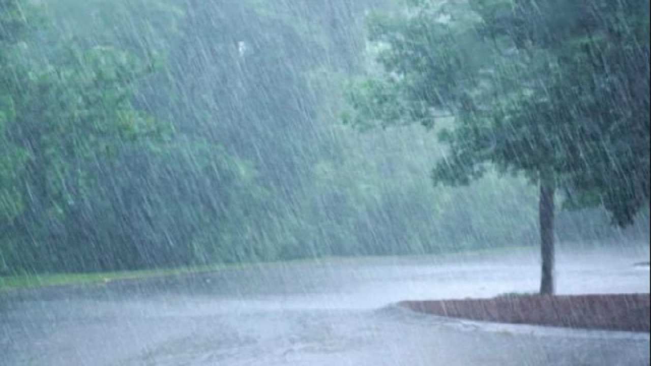 Karnataka Rain: ಬೆಂಗಳೂರು, ಮಲೆನಾಡಿನಲ್ಲಿ ಇಂದು ಕೂಡ ಮಳೆ ಸಾಧ್ಯತೆ; ಉತ್ತರ ಕರ್ನಾಟಕದಲ್ಲಿ ತಗ್ಗಿದ ವರುಣನ ಅಬ್ಬರ Karnataka Rain: ಬೆಂಗಳೂರು, ಮಲೆನಾಡಿನಲ್ಲಿ ಇಂದು ಕೂಡ ಮಳೆ ಸಾಧ್ಯತೆ; ಉತ್ತರ ಕರ್ನಾಟಕದಲ್ಲಿ ತಗ್ಗಿದ ವರುಣನ ಅಬ್ಬರ
