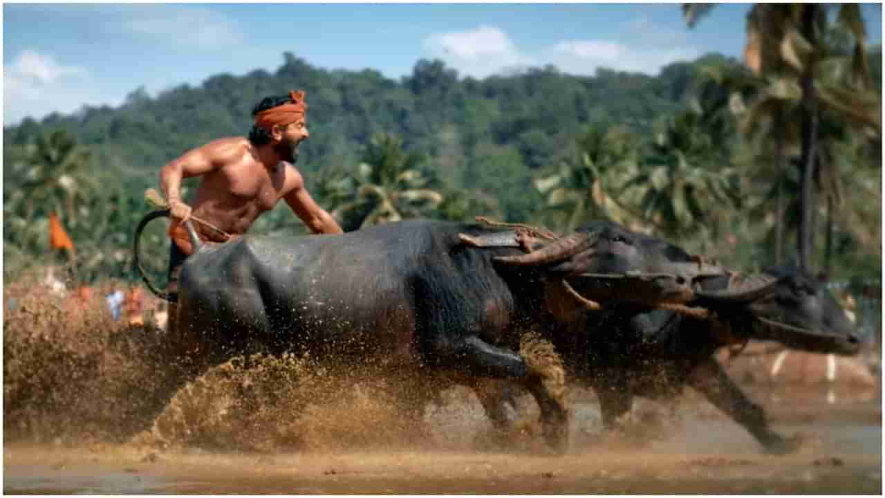 Kantara: ರಿಷಬ್​ ಶೆಟ್ಟಿ ಕಂಬಳದ ಕೋಣ ಓಡಿಸುವುದು ಕಲಿತಿದ್ದು ಹೇಗೆ? ಇಲ್ಲಿದೆ ಮೇಕಿಂಗ್​ ವಿಡಿಯೋ