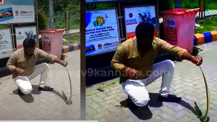 ಪೆಟ್ರೋಲ್ ಬಂಕ್ ಗೆ ಬಂದಿದ್ದ ಹಾವೊಂದನ್ನು ರಕ್ಷಿಸಿ ಸುರಕ್ಷಿತ ಸ್ಥಳಕ್ಕೆ ರವಾನಿಸಿದರು ಉರಗ ತಜ್ಞ ಪೆಟ್ರೋಲ್ ಬಂಕ್ ಗೆ ಬಂದಿದ್ದ ಹಾವೊಂದನ್ನು ರಕ್ಷಿಸಿ ಸುರಕ್ಷಿತ ಸ್ಥಳಕ್ಕೆ ರವಾನಿಸಿದರು ಉರಗ ತಜ್ಞ