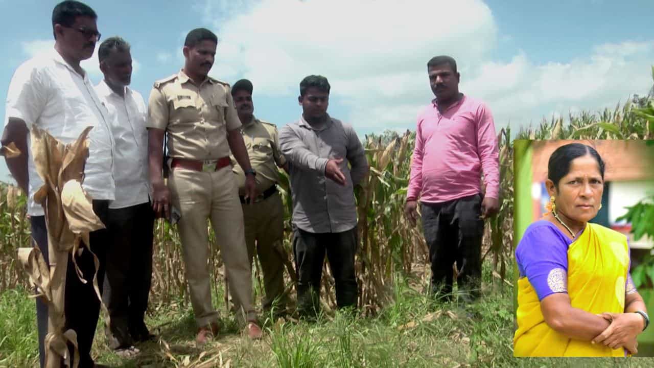 Hassan police: ತಾನು ಹತ್ಯೆ ಮಾಡಿ, ಕುಡುಕನ ತಲೆಗೆ ಕಟ್ಟಲು ಯತ್ನಿಸಿದ್ದ ಖದೀಮ ಅರೆಸ್ಟ್; ಪೊಲೀಸರಿಗೆ ಶಹಬ್ಬಾಸ್ ಎಂದ ಹಾಸನ ಜನ Hassan police: ತಾನು ಹತ್ಯೆ ಮಾಡಿ, ಕುಡುಕನ ತಲೆಗೆ ಕಟ್ಟಲು ಯತ್ನಿಸಿದ್ದ ಖದೀಮ ಅರೆಸ್ಟ್; ಪೊಲೀಸರಿಗೆ ಶಹಬ್ಬಾಸ್ ಎಂದ ಹಾಸನ ಜನ