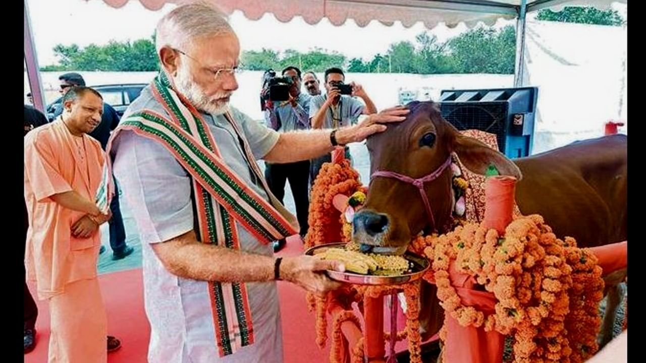 Lumpy Skin Disease: ಜಾನುವಾರುಗಳ ಬಾಧಿಸುತ್ತಿರುವ ಚರ್ಮ ಗಂಟು ಕಾಯಿಲೆಗೆ ಇನ್ನು ಸ್ವದೇಶಿ ಲಸಿಕೆ! ಪ್ರಧಾನಿ ಮೋದಿ ಮಹತ್ವದ ಘೋಷಣೆ Lumpy Skin Disease: ಜಾನುವಾರುಗಳ ಬಾಧಿಸುತ್ತಿರುವ ಚರ್ಮ ಗಂಟು ಕಾಯಿಲೆಗೆ ಇನ್ನು ಸ್ವದೇಶಿ ಲಸಿಕೆ! ಪ್ರಧಾನಿ ಮೋದಿ ಮಹತ್ವದ ಘೋಷಣೆ