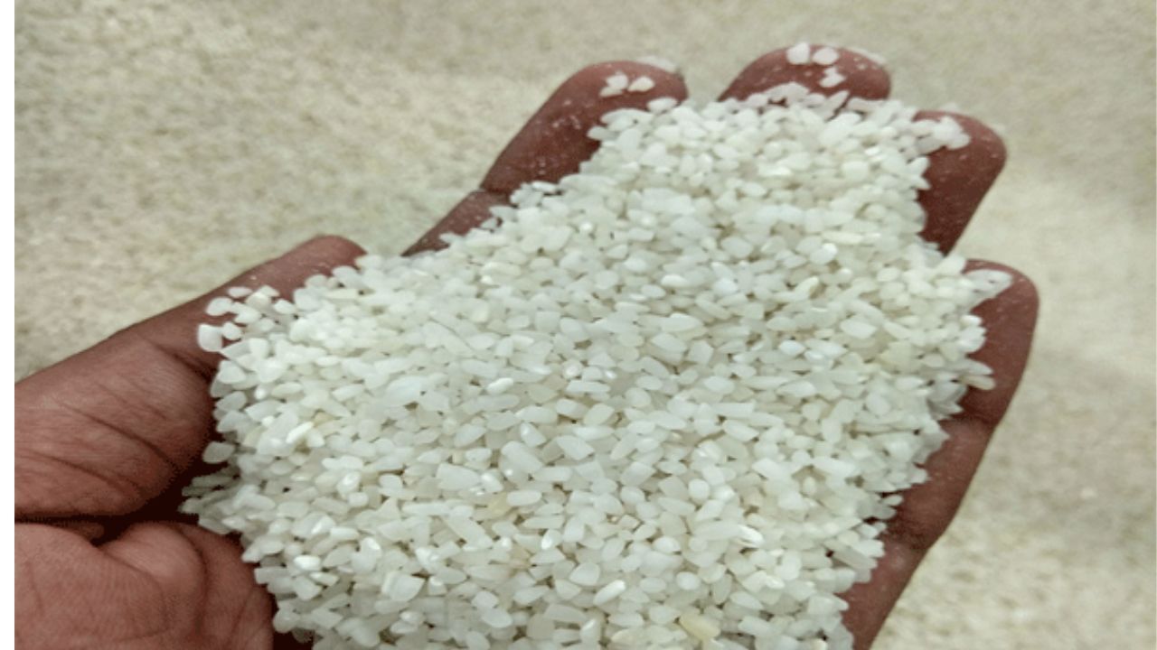 Broken Rice: ದೇಶೀಯ ಲಭ್ಯತೆಗಾಗಿ ನುಚ್ಚಕ್ಕಿಯ ರಫ್ತು ನಿಷೇಧ, ಬಾಸ್ಮತಿ ಅಲ್ಲದ ಅಕ್ಕಿಗೆ 20% ರಫ್ತು ಸುಂಕ Broken Rice: ದೇಶೀಯ ಲಭ್ಯತೆಗಾಗಿ ನುಚ್ಚಕ್ಕಿಯ ರಫ್ತು ನಿಷೇಧ, ಬಾಸ್ಮತಿ ಅಲ್ಲದ ಅಕ್ಕಿಗೆ 20% ರಫ್ತು ಸುಂಕ
