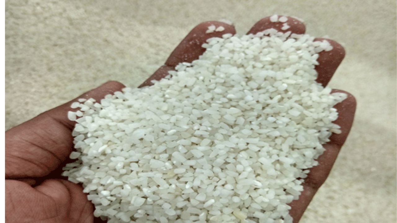 Broken Rice: ದೇಶೀಯ ಲಭ್ಯತೆಗಾಗಿ ನುಚ್ಚಕ್ಕಿಯ ರಫ್ತು ನಿಷೇಧ, ಬಾಸ್ಮತಿ ಅಲ್ಲದ ಅಕ್ಕಿಗೆ 20% ರಫ್ತು ಸುಂಕ