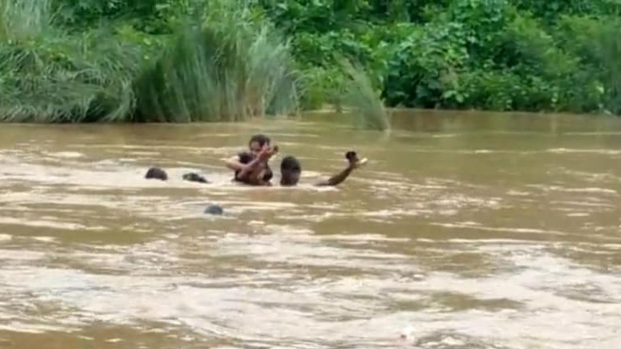 Video Viral: ಈಕೆಯ ಆತ್ಮಸ್ಥೈರ್ಯ ಮೆಚ್ಚಲೇ ಬೇಕು, ತಂಗಿ ಪರೀಕ್ಷೆ ಬರೆಯಲು ಜೀವವನ್ನೇ ಪಣಕ್ಕಿಟ್ಟ ಸಹೋದರರು Video Viral: ಈಕೆಯ ಆತ್ಮಸ್ಥೈರ್ಯ ಮೆಚ್ಚಲೇ ಬೇಕು, ತಂಗಿ ಪರೀಕ್ಷೆ ಬರೆಯಲು ಜೀವವನ್ನೇ ಪಣಕ್ಕಿಟ್ಟ ಸಹೋದರರು