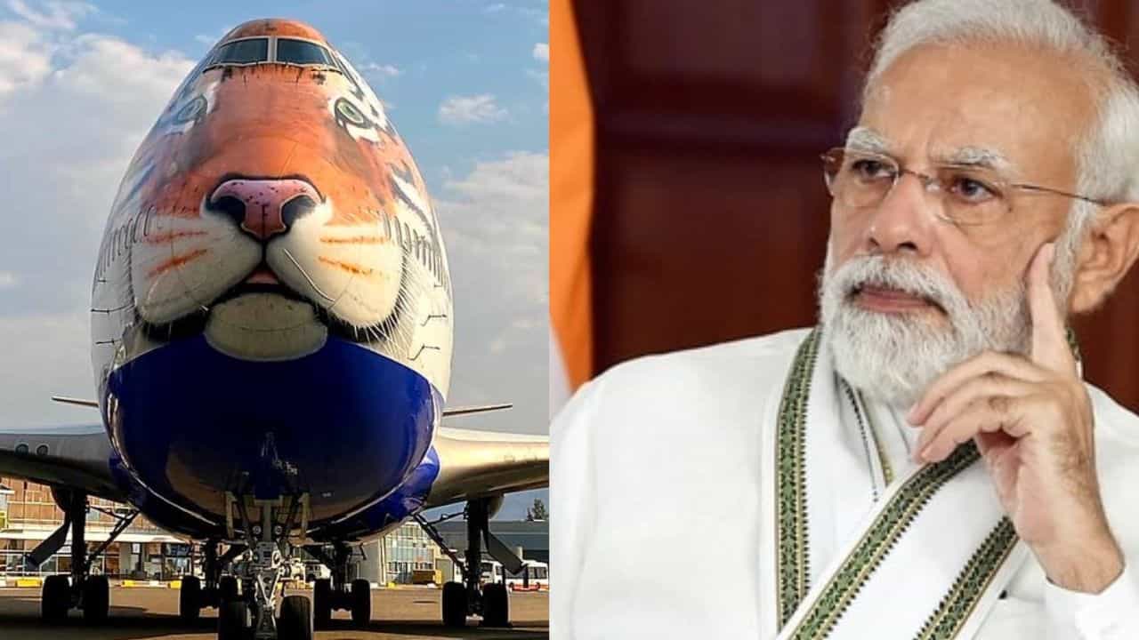 Narendra Modi Birthday: ಮೋದಿ ಹುಟ್ಟುಹಬ್ಬದಂದು ಭಾರತಕ್ಕೆ ಬರಲು ಸಿದ್ಧವಾದ 8 ಚಿರತೆಗಳಿಗೆ ವಿಶೇಷ ವಿಮಾನ Narendra Modi Birthday: ಮೋದಿ ಹುಟ್ಟುಹಬ್ಬದಂದು ಭಾರತಕ್ಕೆ ಬರಲು ಸಿದ್ಧವಾದ 8 ಚಿರತೆಗಳಿಗೆ ವಿಶೇಷ ವಿಮಾನ