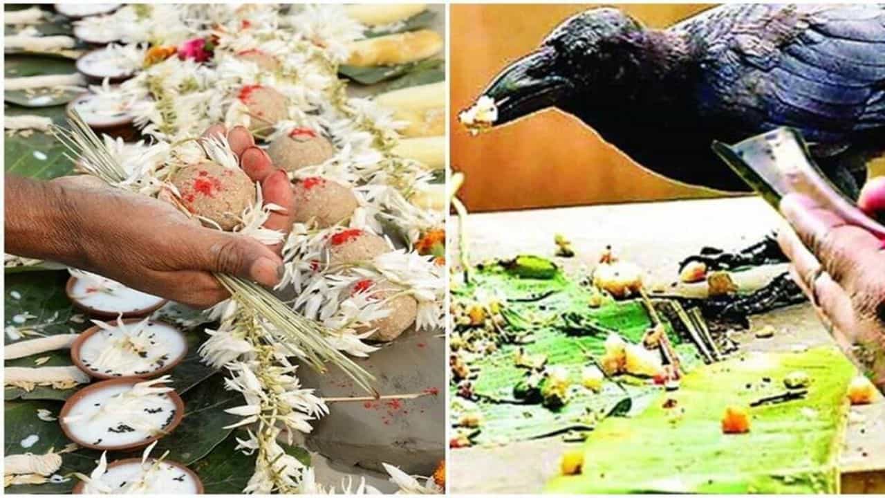 Spiritual: ಪಿತೃಪಕ್ಷದಲ್ಲಿ ಸಂತಾನವಾದರೇ ದೋಷವಿದೆಯೇ ? ಪಿತೃಪಕ್ಷದಲ್ಲಿ ಸ್ವಪ್ನದಲ್ಲಿ ಪಿತೃ ದರ್ಶನವಾದರೆ ಏನು ಫಲ ? Spiritual: ಪಿತೃಪಕ್ಷದಲ್ಲಿ ಸಂತಾನವಾದರೇ ದೋಷವಿದೆಯೇ ? ಪಿತೃಪಕ್ಷದಲ್ಲಿ ಸ್ವಪ್ನದಲ್ಲಿ ಪಿತೃ ದರ್ಶನವಾದರೆ ಏನು ಫಲ ?