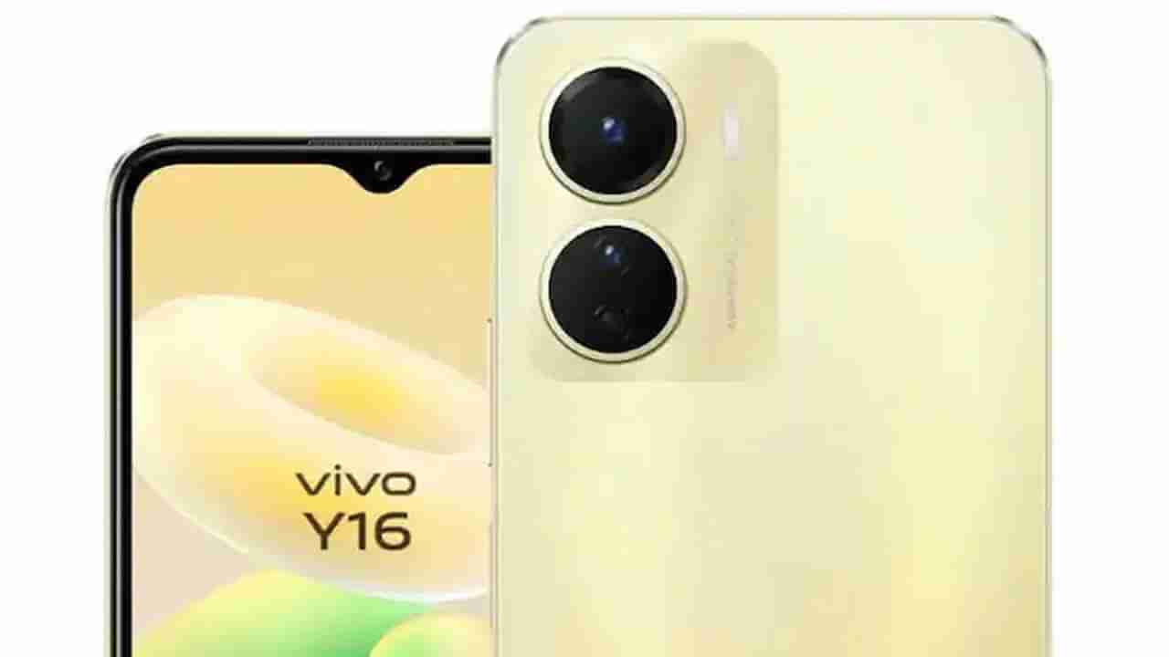 Vivo Smartphones: ವಿವೊ ಸ್ಮಾರ್ಟ್​​ಫೋನ್ ರಫ್ತಿಗೆ ಭಾರತ ತಡೆ; ಚೀನಾ ಕಂಪನಿಗೆ ಭಾರೀ ಹಿನ್ನಡೆ