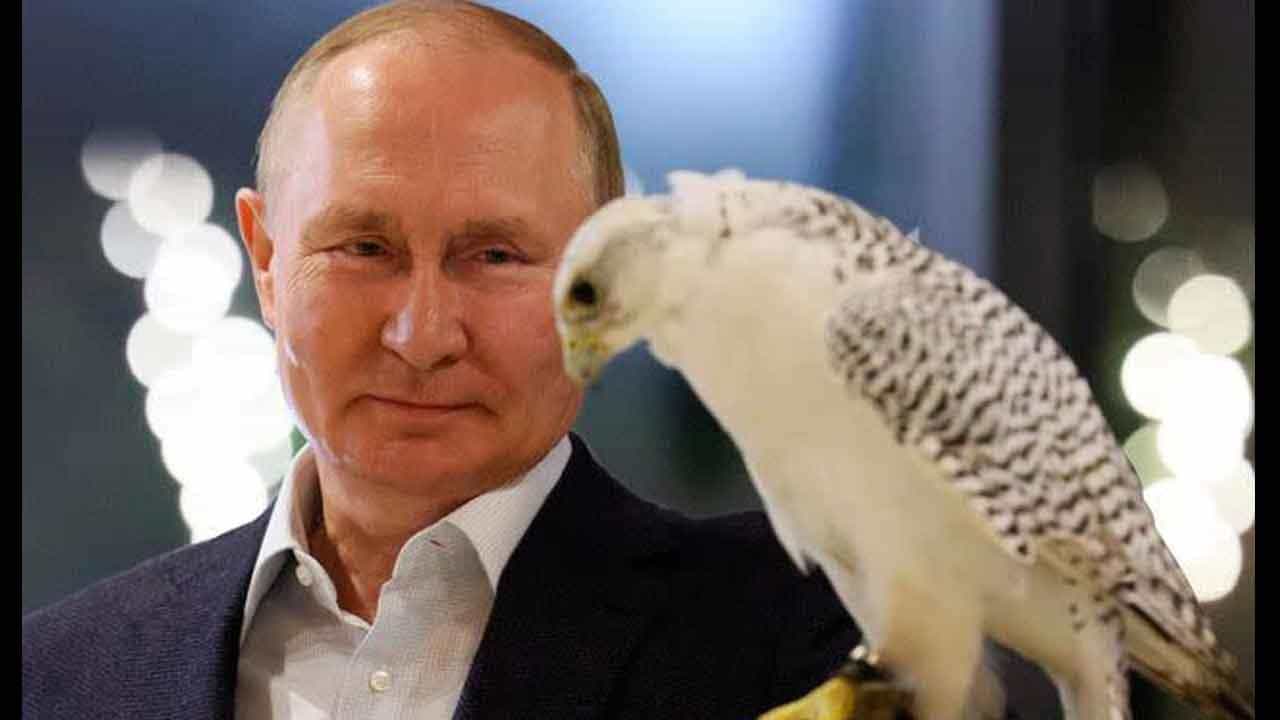 Russian World: ಭಾರತದೊಂದಿಗೆ ಮತ್ತಷ್ಟು ಬಾಂಧವ್ಯ; ಹೊಸ ವಿದೇಶಾಂಗ ನೀತಿ ಘೋಷಿಸಿದ ರಷ್ಯಾ ಅಧ್ಯಕ್ಷ ಪುಟಿನ್ Russian World: ಭಾರತದೊಂದಿಗೆ ಮತ್ತಷ್ಟು ಬಾಂಧವ್ಯ; ಹೊಸ ವಿದೇಶಾಂಗ ನೀತಿ ಘೋಷಿಸಿದ ರಷ್ಯಾ ಅಧ್ಯಕ್ಷ ಪುಟಿನ್