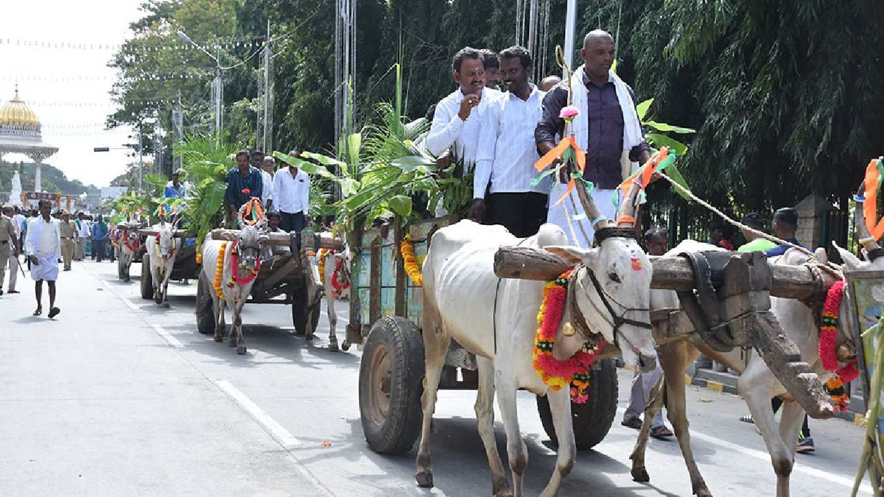 Mysore Dasara 2022: ಇಂದು ಮೈಸೂರಿನಲ್ಲಿ ಗ್ರಾಮೀಣ ದಸರಾ: ಬೃಹತ್‌ ಉಚಿತ ಆರೋಗ್ಯ ಹಾಗೂ ಜಾನುವಾರು ತಪಾಸಣಾ ಶಿಬಿರ ಆಯೋಜನೆ