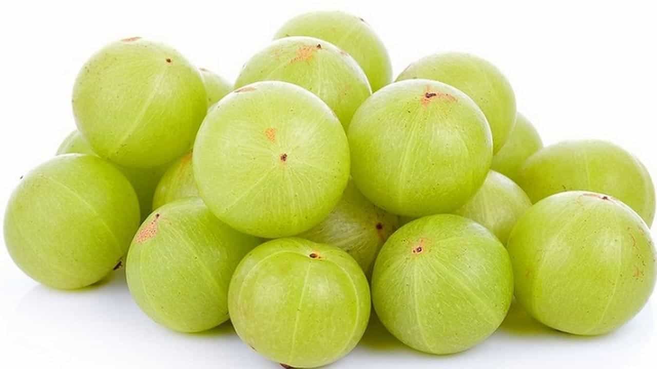 Amla Benefits: ನೆಲ್ಲಿಕಾಯಿ ಬಳಸಿ, ನೈಸರ್ಗಿಕವಾಗಿ ಬಿಳಿ ಕೂದಲನ್ನು ಕಪ್ಪಗಾಗಿಸಿ Amla Benefits: ನೆಲ್ಲಿಕಾಯಿ ಬಳಸಿ, ನೈಸರ್ಗಿಕವಾಗಿ ಬಿಳಿ ಕೂದಲನ್ನು ಕಪ್ಪಗಾಗಿಸಿ