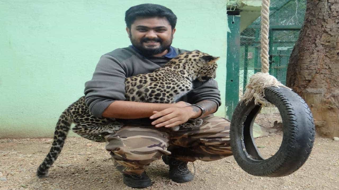 ಮೋದಿ ಚೀತಾ ಟೀಮ್ ಡಾಕ್ಟರ್, ಹುಲಿ ಪ್ರಾಣ ಉಳಿಸಿದ್ದ ಕತೆ..! ಮೋದಿ ಚೀತಾ ಟೀಮ್ ಡಾಕ್ಟರ್, ಹುಲಿ ಪ್ರಾಣ ಉಳಿಸಿದ್ದ ಕತೆ..!