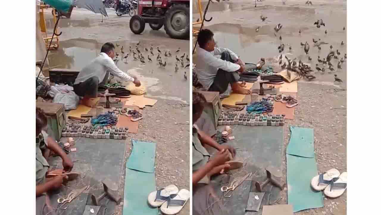 Viral Video : ಈ ಚಮ್ಮಾರಪ್ಪ ಕಾಳು ಕೊಡುತ್ತಾನೆಂದು ಈ ಹಕ್ಕಿಗಳಿಗೆ ಗೊತ್ತು Viral Video : ಈ ಚಮ್ಮಾರಪ್ಪ ಕಾಳು ಕೊಡುತ್ತಾನೆಂದು ಈ ಹಕ್ಕಿಗಳಿಗೆ ಗೊತ್ತು