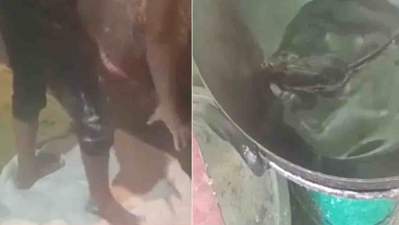 Viral Video : ಎಣ್ಣೆಬಾಣಲೆಯಲ್ಲಿ ಮೀಯುತ್ತಿರುವ ಇಲಿ, ಪಾದಗಳಿಂದ ಹಿಟ್ಟು ನಾದುತ್ತಿರುವ ಯುವಕರು Viral Video : ಎಣ್ಣೆಬಾಣಲೆಯಲ್ಲಿ ಮೀಯುತ್ತಿರುವ ಇಲಿ, ಪಾದಗಳಿಂದ ಹಿಟ್ಟು ನಾದುತ್ತಿರುವ ಯುವಕರು