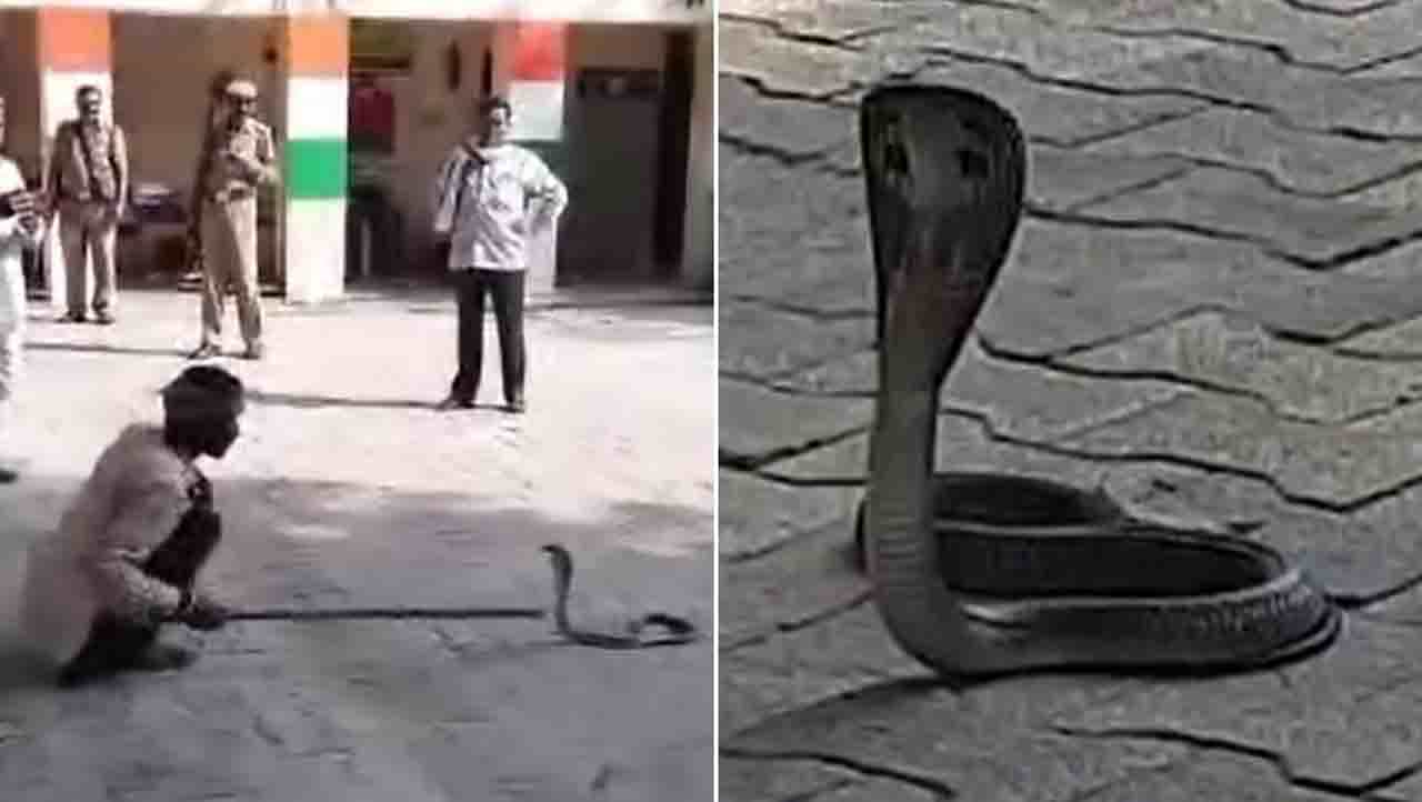 ಉತ್ತರ ಪ್ರದೇಶದಲ್ಲಿ ಪೊಲೀಸರನ್ನೇ ಓಡಾಡಿಸಿದ ಈ ನಾಗರಾಜ! ಉತ್ತರ ಪ್ರದೇಶದಲ್ಲಿ ಪೊಲೀಸರನ್ನೇ ಓಡಾಡಿಸಿದ ಈ ನಾಗರಾಜ!