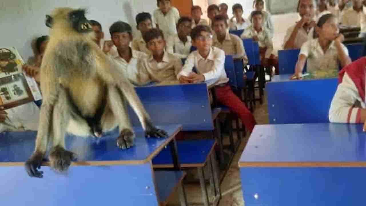 Trending : ಒಳ್ಳೆಯವರಲ್ಲ ಈ ನಮ್ಮಿಸ್ಸು, ಏನ್​ ಹೇಳಿದ್ರೂ ನೋನೋನೋ