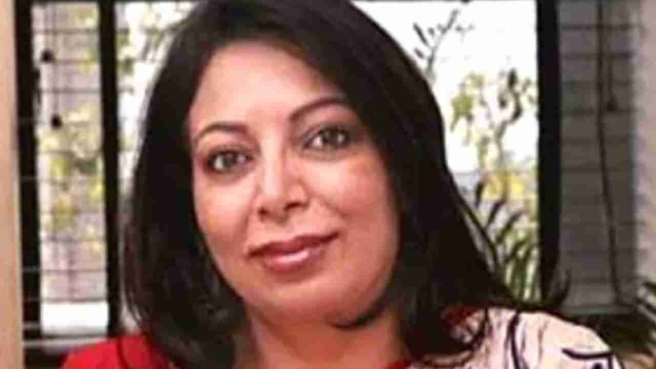 ನೀರಾ ರಾಡಿಯಾ ಟೇಪ್ಗಳಲ್ಲಿ ಯಾವುದೇ ಅಪರಾಧ ಕಂಡುಬಂದಿಲ್ಲ: ಸುಪ್ರೀಂಕೋರ್ಟ್ಗೆ ತಿಳಿಸಿದ ಸಿಬಿಐ