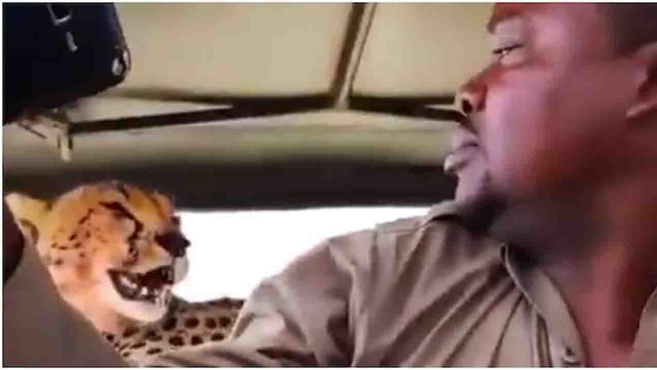 Viral Video : ಚಿರತೆಯೊಂದಿಗೆ ಸೆಲ್ಫೀ ತೆಗೆದುಕೊಂಡ ಗೈಡ್, ಕೋಪಗೊಂಡ ನೆಟ್ಟಿಗರು Viral Video : ಚಿರತೆಯೊಂದಿಗೆ ಸೆಲ್ಫೀ ತೆಗೆದುಕೊಂಡ ಗೈಡ್, ಕೋಪಗೊಂಡ ನೆಟ್ಟಿಗರು