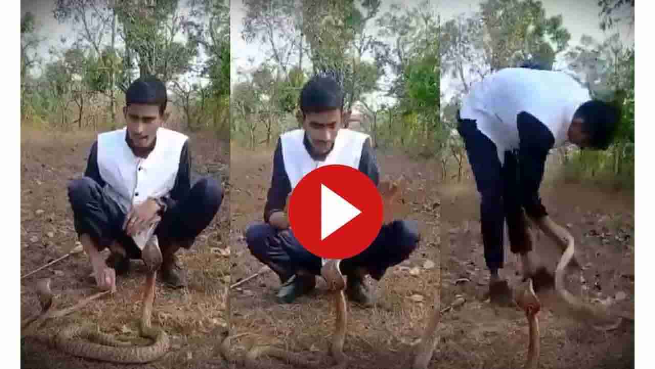 Viral Video : ದುಃಸ್ಸಾಹಸಕ್ಕೆ ಇಳಿದ ಶಿರಸಿಯ ಈ ಯುವಕನಿಗೆ ನಾಗಪ್ಪ ಕೊಟ್ಟಿದ್ದೇನು?