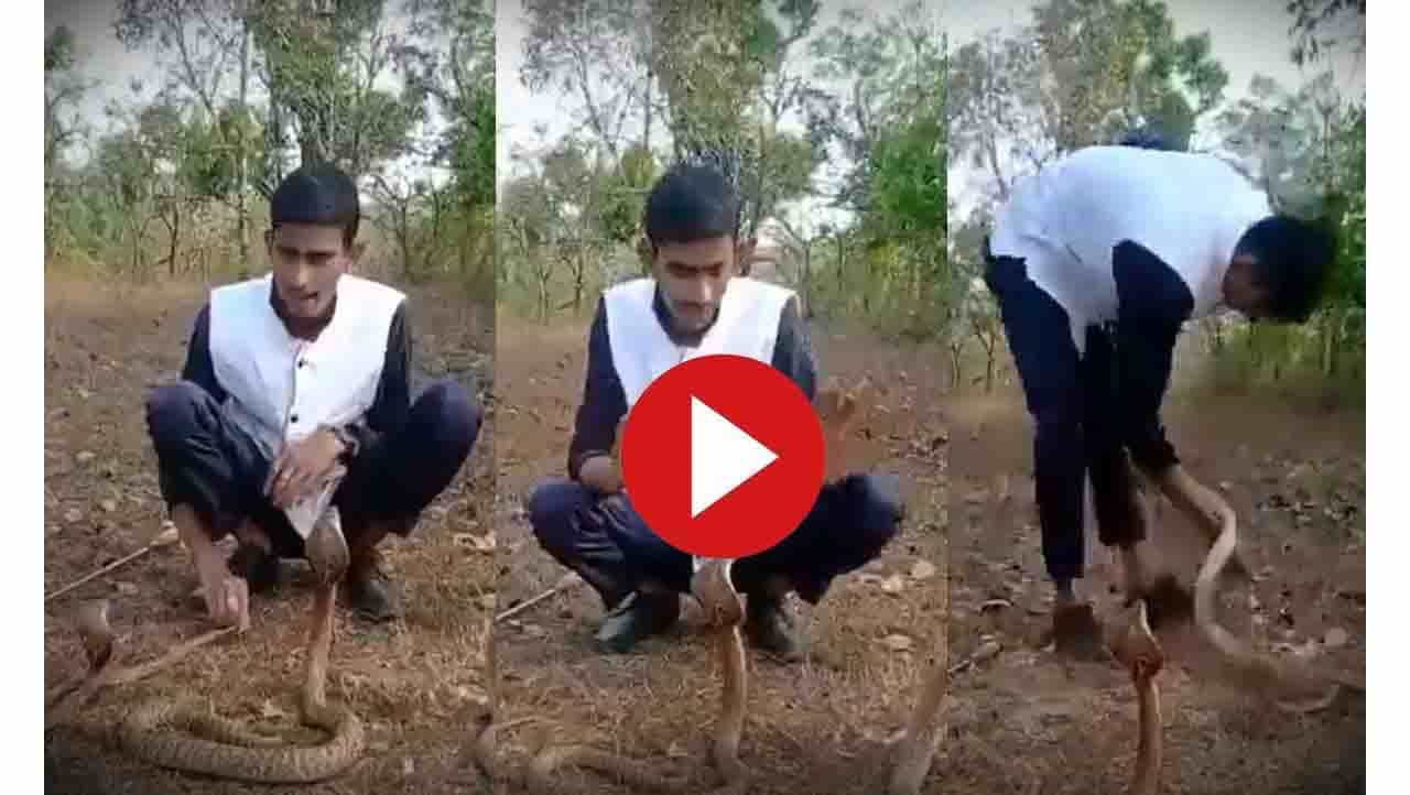 Viral Video : ದುಃಸ್ಸಾಹಸಕ್ಕೆ ಇಳಿದ ಶಿರಸಿಯ ಈ ಯುವಕನಿಗೆ ನಾಗಪ್ಪ ಕೊಟ್ಟಿದ್ದೇನು? Viral Video : ದುಃಸ್ಸಾಹಸಕ್ಕೆ ಇಳಿದ ಶಿರಸಿಯ ಈ ಯುವಕನಿಗೆ ನಾಗಪ್ಪ ಕೊಟ್ಟಿದ್ದೇನು?