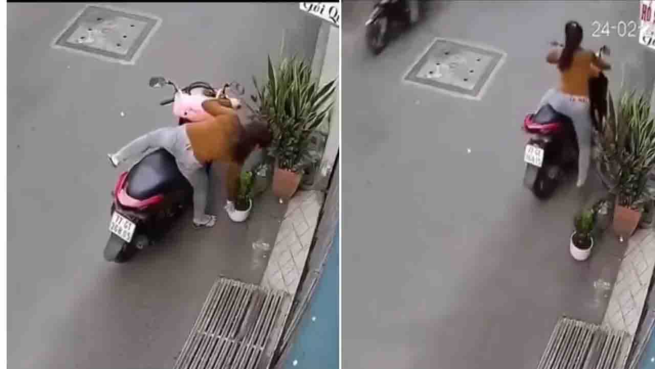 Viral Video : ಕಳ್ಳಿ ಬಂದ್ಲು ಕಳ್ಳಿ! ಅಲಂಕಾರಿಕ ಗಿಡ ಕದಿಯೋಕೆ ಹೋದಳು, ಮುಂದೇನಾಯಿತು? Viral Video : ಕಳ್ಳಿ ಬಂದ್ಲು ಕಳ್ಳಿ! ಅಲಂಕಾರಿಕ ಗಿಡ ಕದಿಯೋಕೆ ಹೋದಳು, ಮುಂದೇನಾಯಿತು?