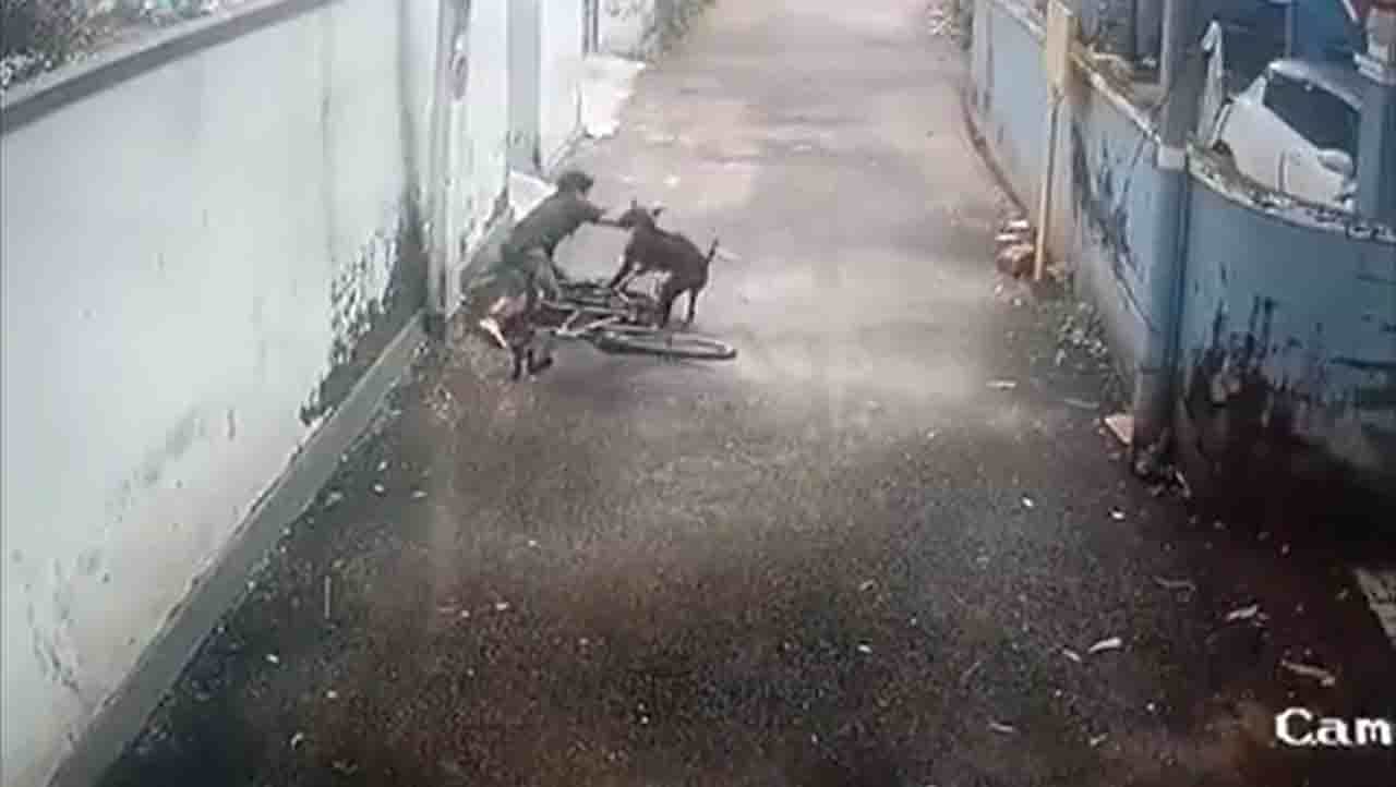 Viral Video : ಬಾಲಕನ ಮೇಲೆ ನಾಯಿದಾಳಿ, ಕೇರಳದಲ್ಲಿ ನಡೆದ ಘಟನೆ Viral Video : ಬಾಲಕನ ಮೇಲೆ ನಾಯಿದಾಳಿ, ಕೇರಳದಲ್ಲಿ ನಡೆದ ಘಟನೆ