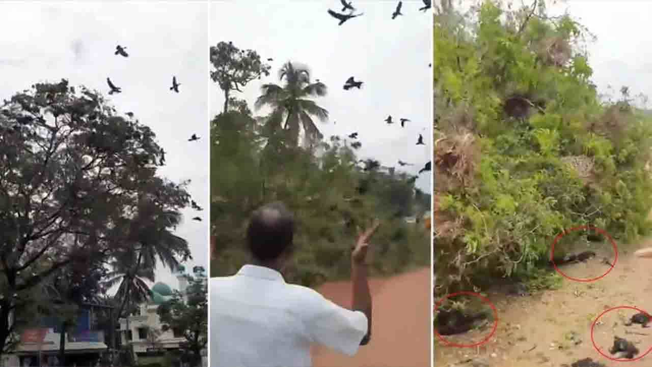 Viral Video : ಮನುಷ್ಯನ ದುರಾಸೆಗೆ ಕ್ರೂರತನಕ್ಕೆ ಕೊನೆಯೇ ಇಲ್ಲವೆ? Viral Video : ಮನುಷ್ಯನ ದುರಾಸೆಗೆ ಕ್ರೂರತನಕ್ಕೆ ಕೊನೆಯೇ ಇಲ್ಲವೆ?